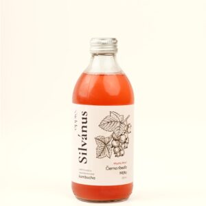 Černý rybíz & máta