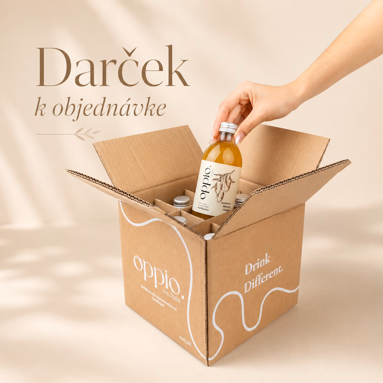 dárek_kombucha kit od oppio